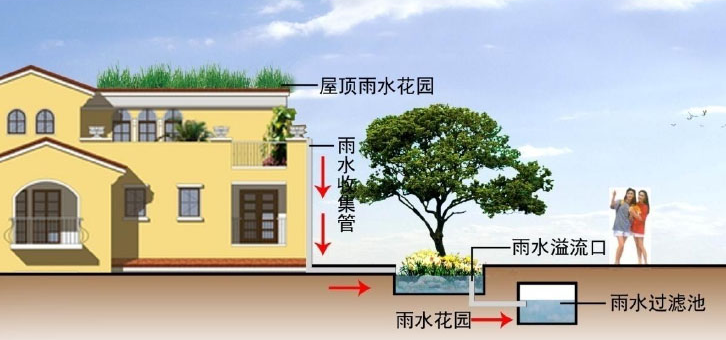 雨水收集系統的幾種類型知道嗎？由哪些結構組成？